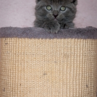 bébé-LOOF
